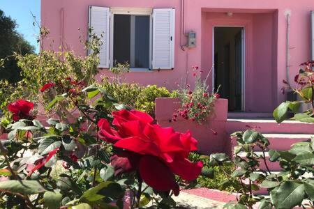 Pink House Βίλα Πεσάδα Εξωτερικό φωτογραφία
