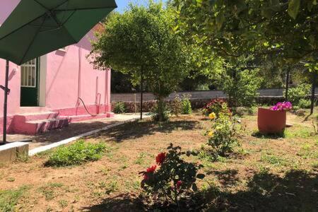 Pink House Βίλα Πεσάδα Εξωτερικό φωτογραφία