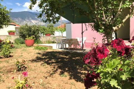 Pink House Βίλα Πεσάδα Εξωτερικό φωτογραφία